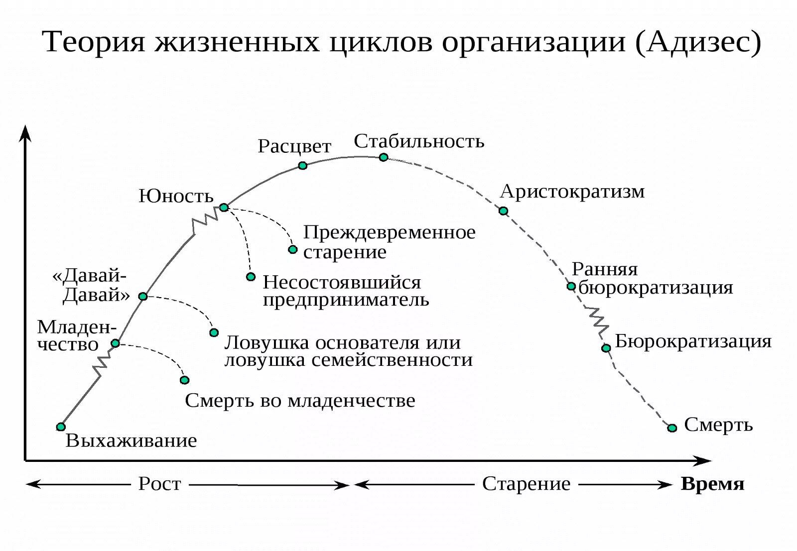 Книга жизненные циклы. Стадии жизненного цикла компании по Адизесу. Адизес теория жизненного цикла организации. Этапы развития компании Адизес. Теория жизненных циклов организации и.Адизеса.