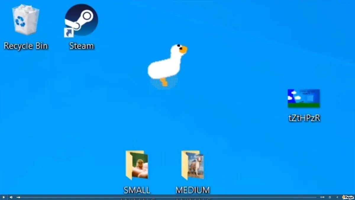 Обои с гусем на компьютер. Goose desktop desktop на телефон. Симулятор гуся. Программа про гуся. Программа про гуся.