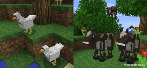 Better animals