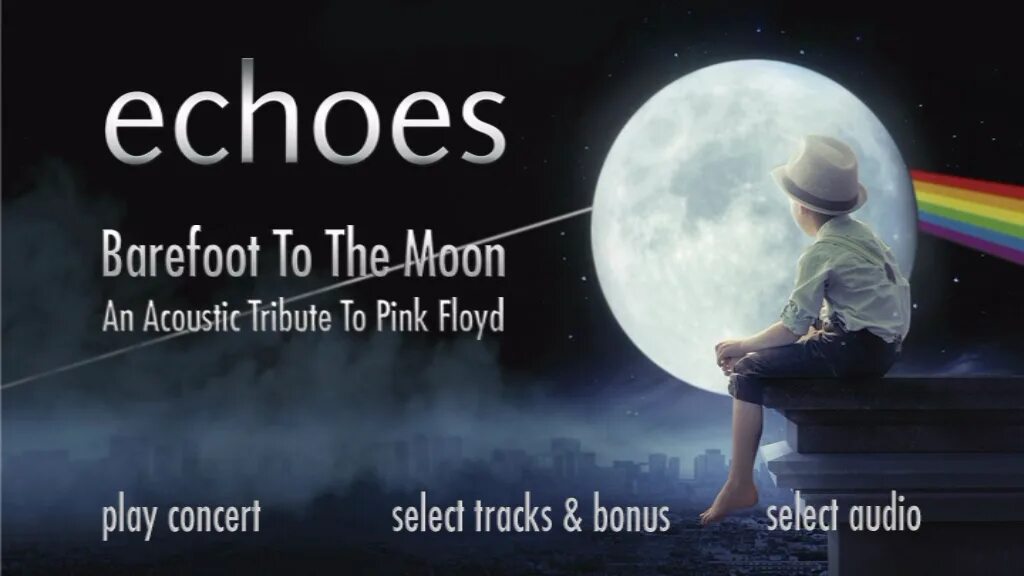 Go to the moon 2. Pink Floyd Echoes. 2001 - Pink Floyd - Echoes. The best of Pink Floyd. Echo фото. Презентация talking to the Moon.