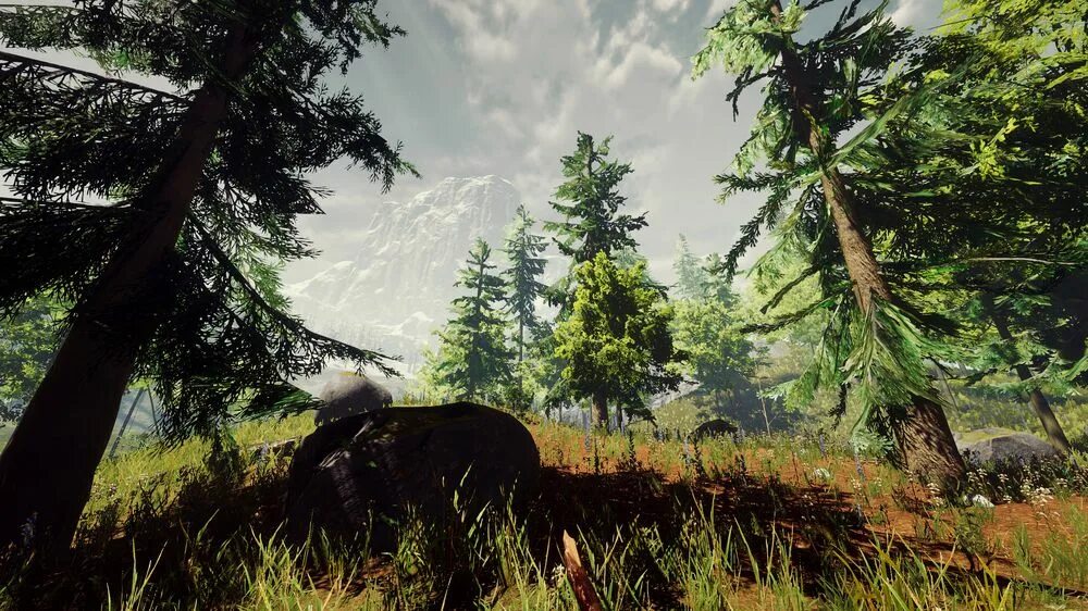 Игр жизнь леса. Ласт форест игра. зе форест 2. лес игровой.