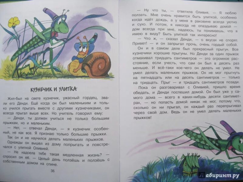 Кузнечик читать полностью. Биссет кузнечик денди. иллюстрации к сказке биссета кузнечик денди. сказка про кузнечика.