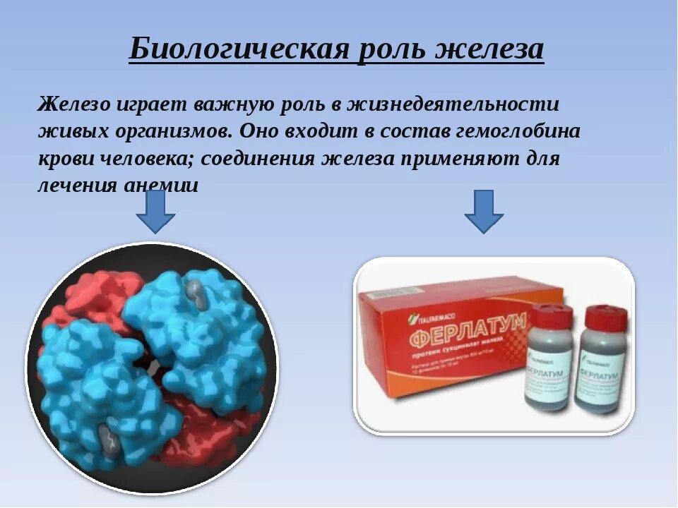 Железо входит в группу. Биологическая роль желозо. Биологическая роль железа. Роль железа в медицине. Роль железа в организме человека химия.