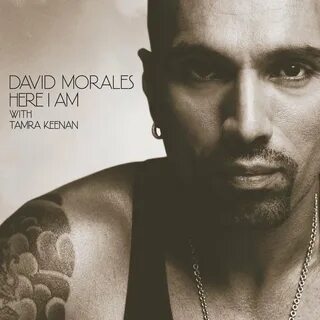 David am