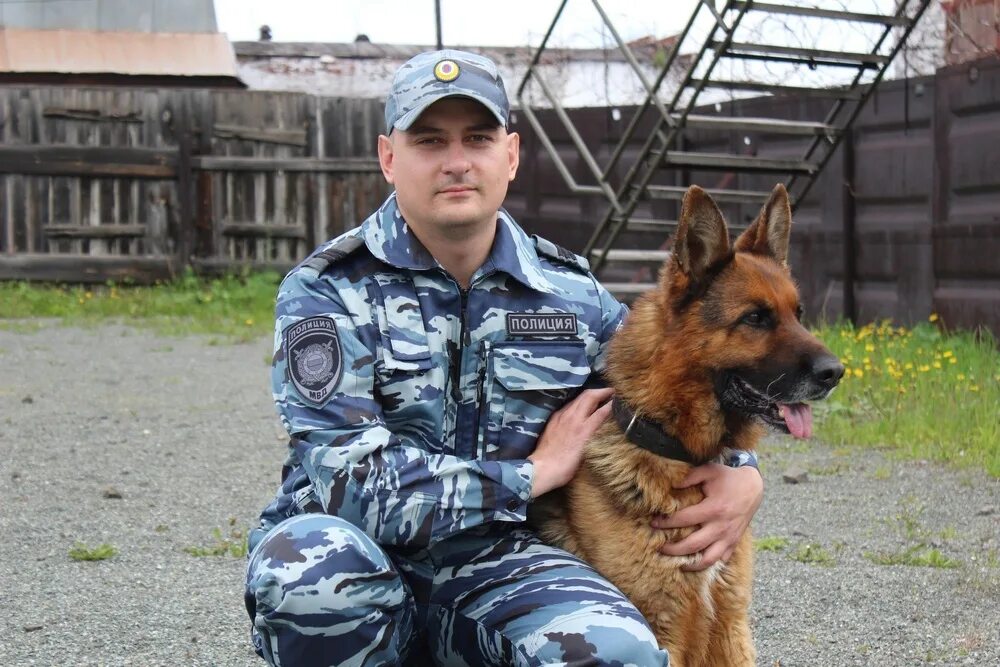 Получить профессию кинолог. Кинолог. полицейский кинолог. младший инспектор кинолог. профессия кинолог.