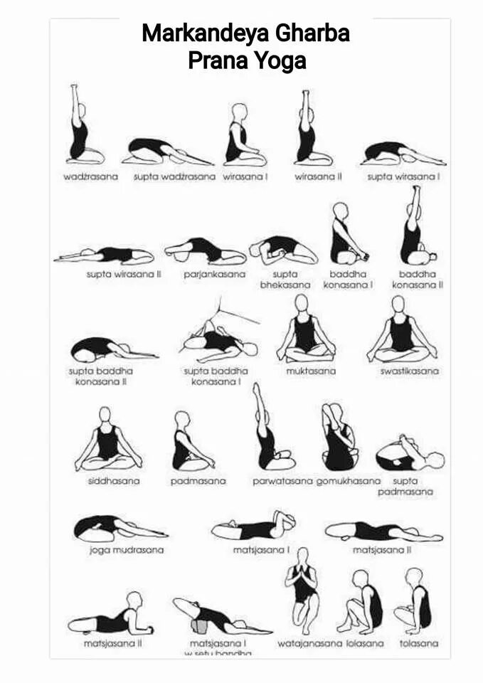 Базовые асаны йоги для начинающих. Хатха-йога комплекс асан. Асаны хатха йоги для начинающих. Хатха йога комплекс для начинающих. Асаны йоги с названиями