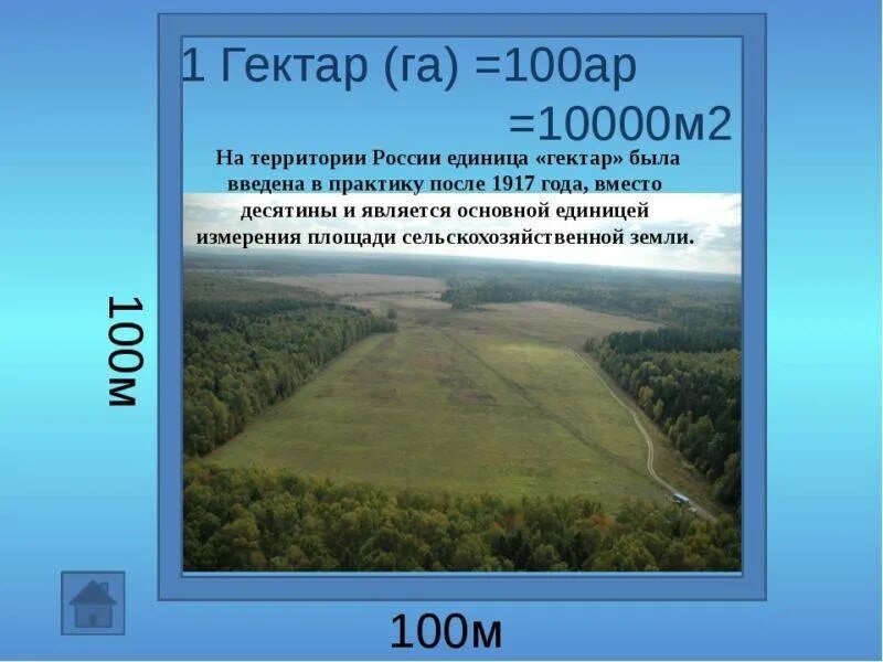 Какая площадь гектара. 1 гектар это сколько квадратных метров. размер 1 гектара в метрах квадратных. 1 гектар 100 соток. размеры 1 гектара земли.