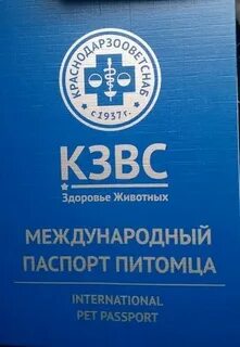 Кзвс краснодар