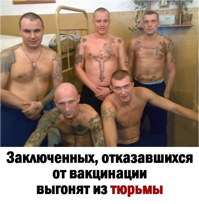 Что значит шерстяной на сленге