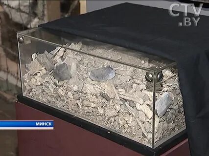 Куда деть кости