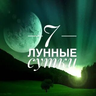 7 лунные сутки