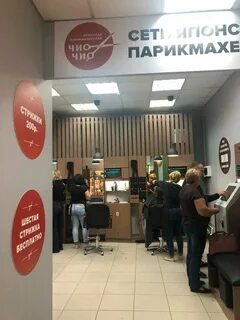 Чио чио оренбург