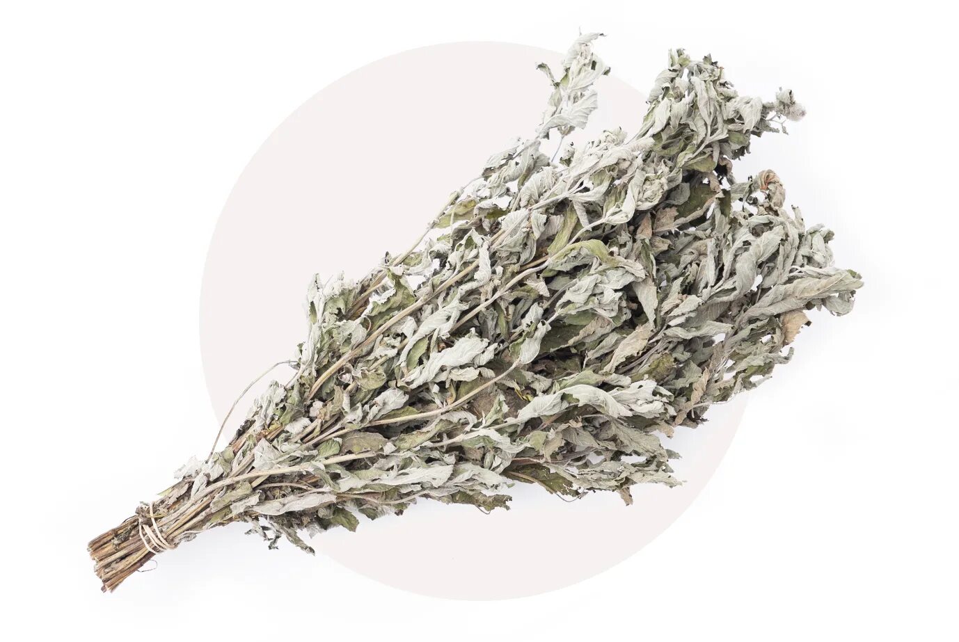 Тысячелистник обыкновенный лрс. Горькая полынь тинктура. Полынь мята. Мелисса веточка. Пижмовый веник.