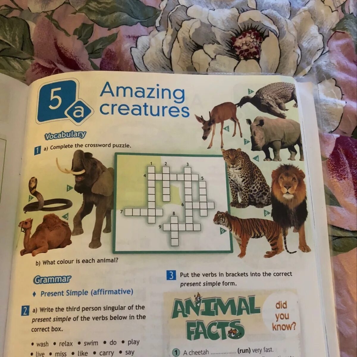 Английский язык 5 класс amazing creatures. Complete the crossword Puzzle. 5 Класс английский complete the crossword Puzzle/ amazing creatures. Vocabulary complete the crossword