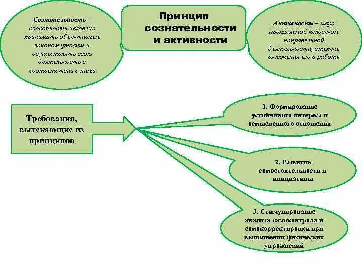 Какие принципы легли в основу концепции нового. Принцип активности в педагогике. Принцип сознательности в педагогике. Принцип сознательности и творческой активности. Принцип творческой активности в педагогике.