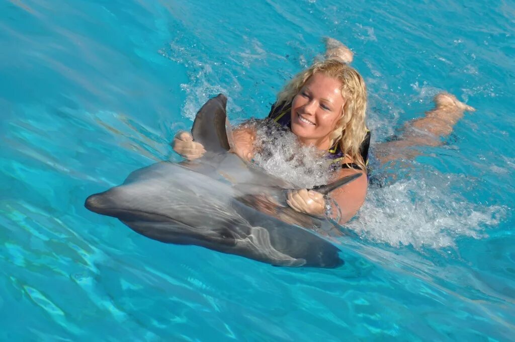 Плавать с дельфинами. Девушка и Дельфин. Купаться с дельфинами. Девушка плавает с дельфинами. Удовольствие с дельфином