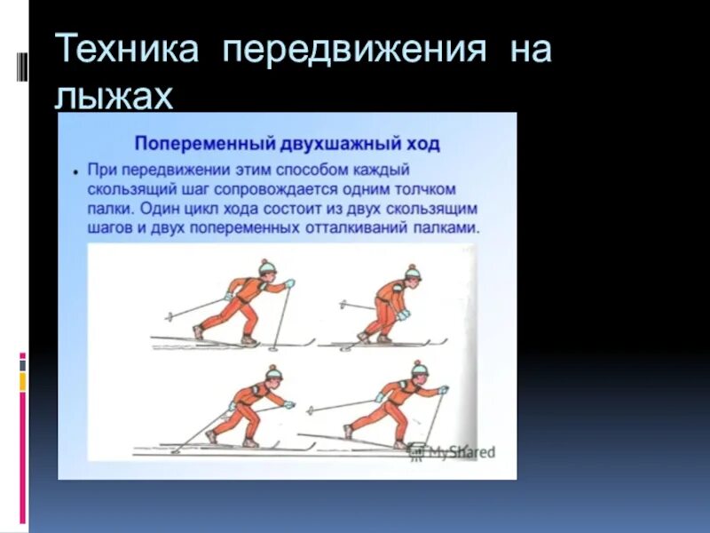 Второе передвижение. Техника передвижения на лыжах. Способы передвижения на лыжах. Техника перемещения на лыжах. Равномерное передвижение на лыжах.