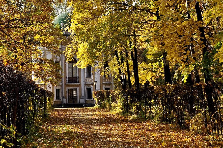 миродолье сергиев посад поселение. усадьба поместье в польше. усадьба храповицкого владимирская область. поместье блэквуд скайрим. осень_галина_пограничное_поместье_анна_чинцова.