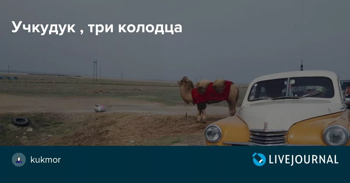 Три колодца текст. Учкудук три колодца. Ялла Учкудук три колодца. Учкудук Мем. Учкудук три колодца текст.