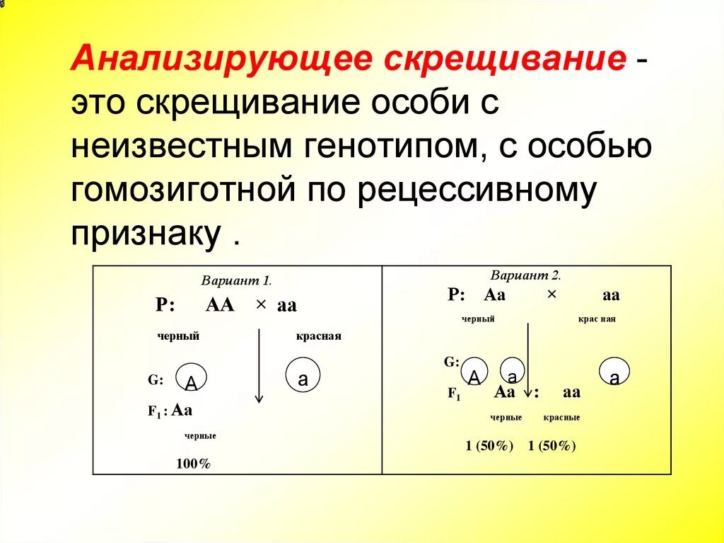 Генетическая схема анализирующего скрещивания. Анализирующее скрещивание гибридов 1 поколения. Анализирующее скрещивание по 2 признакам. Анализирующее скрещивание это в биологии 9 класс. Получение гибридов на основе соединения