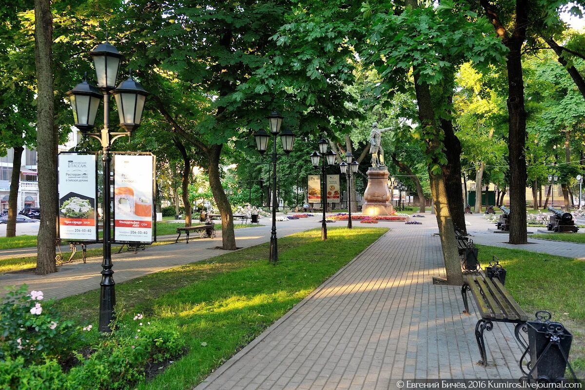 Воронеж парк летом. Петровский сквер Воронеж. Центр Воронежа лето. Парк на набережной Воронеж.