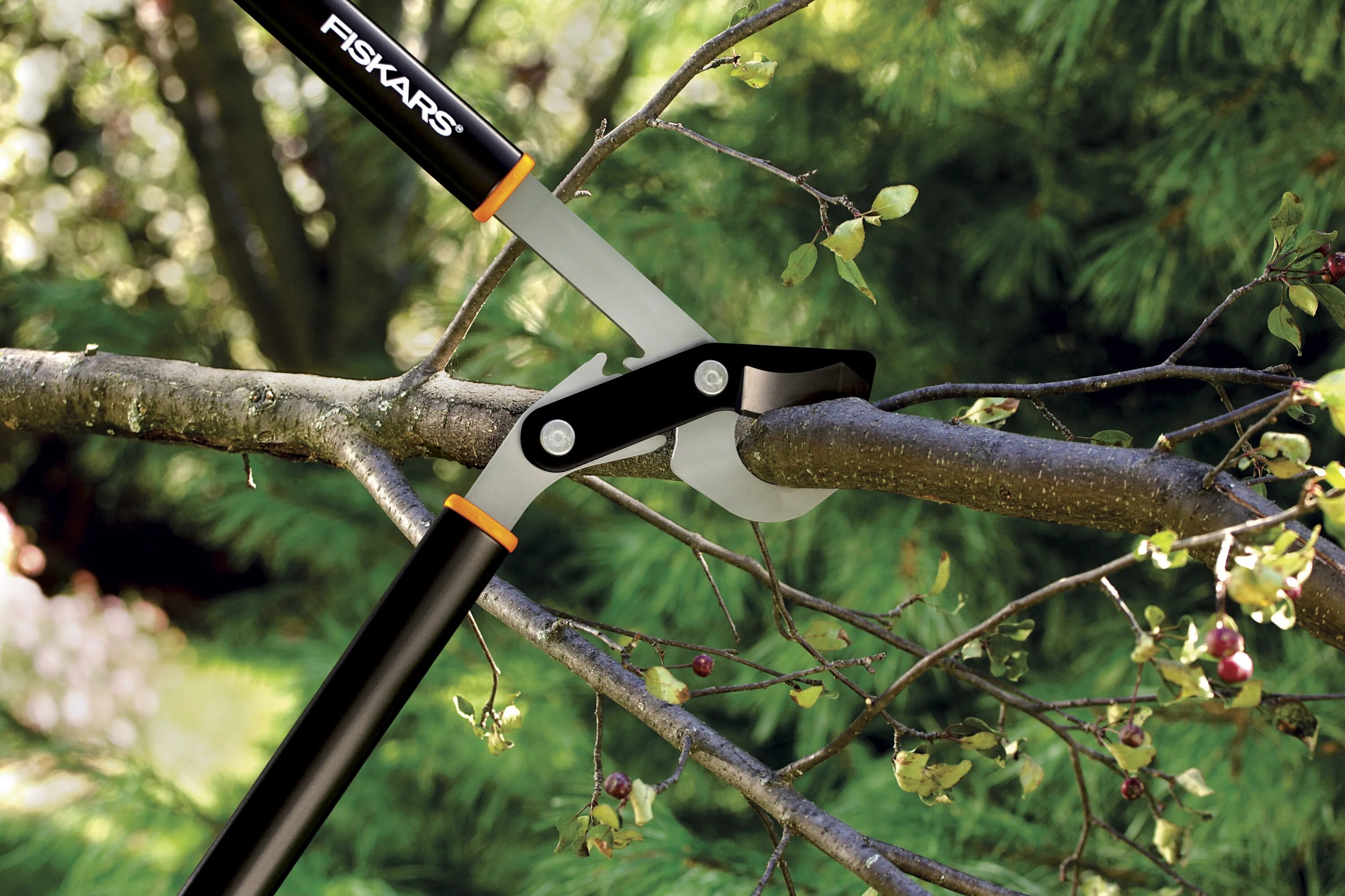 Fiskars p321 секатор. Сучкорез садовый Фискарс. Сучкорез телескопический высотный садовый Фискарс. Секатор pruning Shears.