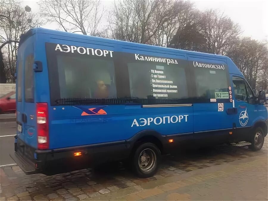 Автовокзал аэропорт калининград. Автобус 244э Калининград. Микроавтобус аэропорт. Калининград автовокзал аэропорт. Остановки автобуса 244э Калининград.