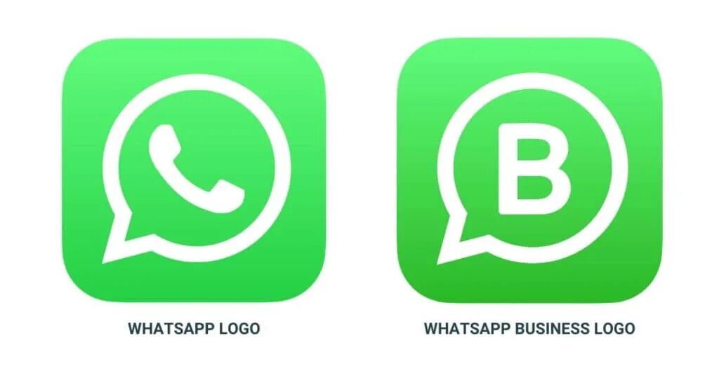 Запись видео в кружочке ватсап. Логотип ватсап. пиктограмма whatsapp. ярлык ватсап. значок ватсап для визитки.