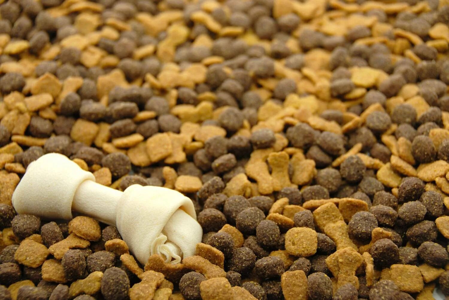 Feed object