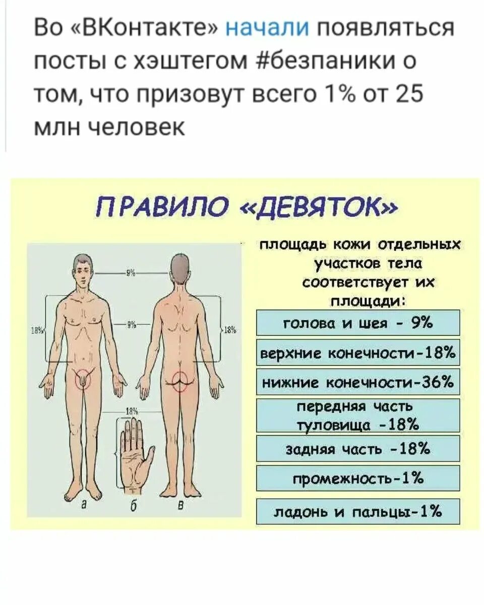 Пл тела. Площадь ожога правило девяток. Правило девяток при ожогах. Площади ожога частей тела.