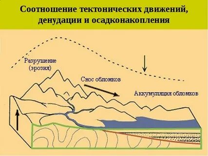 Определите вид тектонического движения
