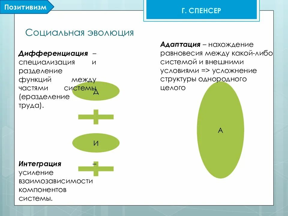 Понятие социальная интеграция. Теория социальной эволюции. Теория социальной эволюции г Спенсера. Теория социальной дифференциации. Спенсер дифференциация и интеграция.