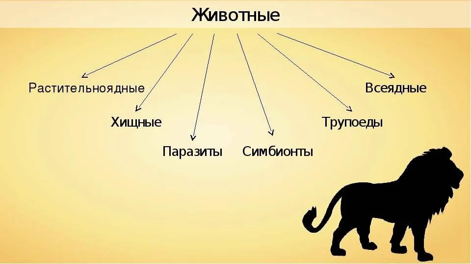 Животный индивид. Травоядные ,Хищные, всеядные, паразиты. Хищные животные примеры. Хищники и травоядные животные. Хищные травоядные и всеядные животные.