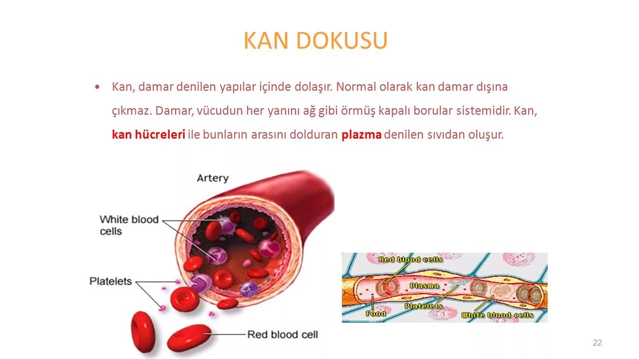 Kan ve. Kan ve. Донор фон. Фон для презентации донорство. Kan ve.