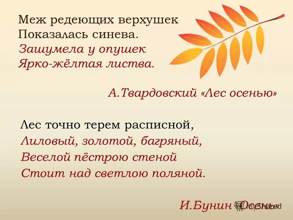 Какое чувство осени вызывает. Твардовский меж редеющих. Твардовский меж редеющих верхушек. Лес осенью Твардовский. Меж редеющих верхушек показалась синева.