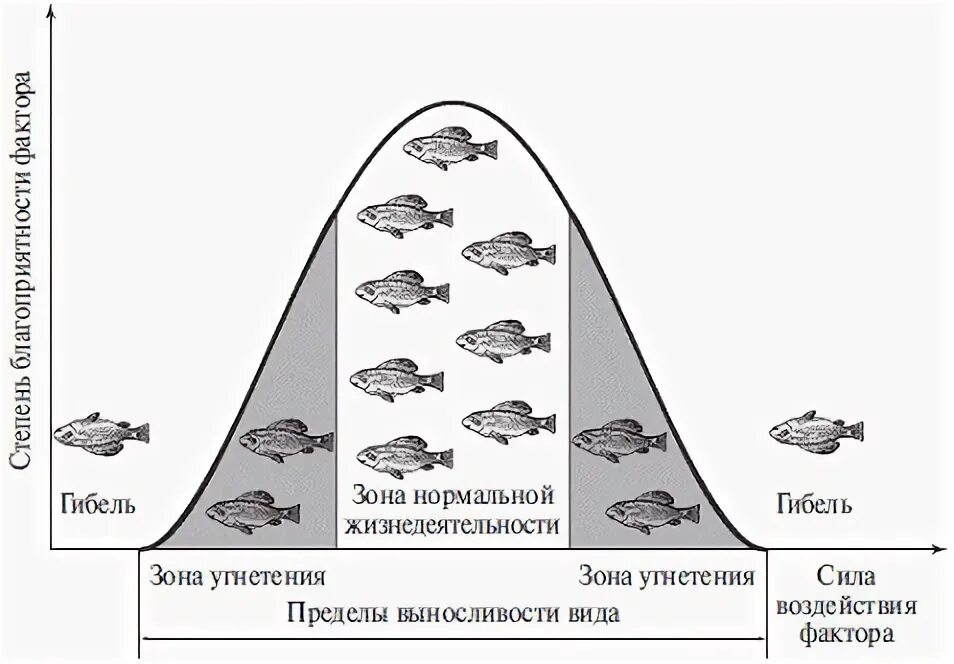 Схема действия экологического фактора примеры. Схема действия экологического фактора. Пределы выносливости экология. Зона оптимума экологического фактора. Схема воздействия экологических факторов на организм.