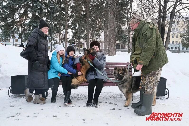 Собака обнимака пермь. Собака обнимака. Благотворительная акция собака обнимака. Собака обнимака Пермь 2023.