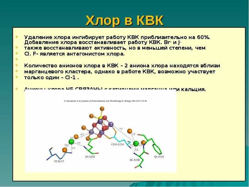 Хлор это анион. Связанный хлор. свободный и связанный хлор. свободный и связанный активный хлор. хлор кластер.