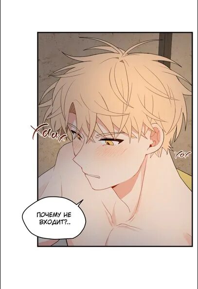 где упала форзиция дорога манхва все главы. хотару и мидори. дорога по которой упала форзиция манхва. форзиция бересклет буддлея. форзиция промежуточная спектабилис.