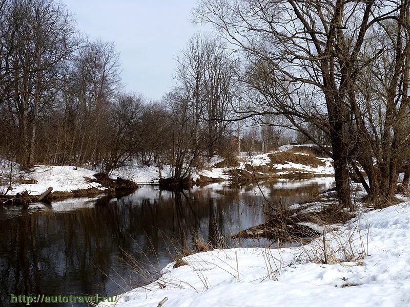 Гефсиманский сад истра. Истра 23. Истра улица ленина 23. Типография истра. Истра улица босова дом 6.