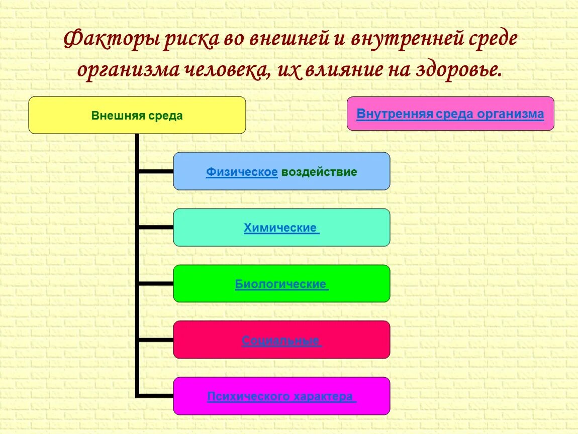 Негативное физическое воздействие. Факторы риска внешней среды для организма человека. Факторы риска во внешней и внутренней среде организма человека. Факторы риска во внешней среде и внутренней среде организма человека.. Факторы риска внешней и внутренней среды.