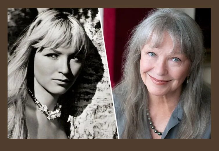 Влади сколько лет. Влади сколько лет. Влади сколько лет. Влади сколько лет. Влади сколько лет.