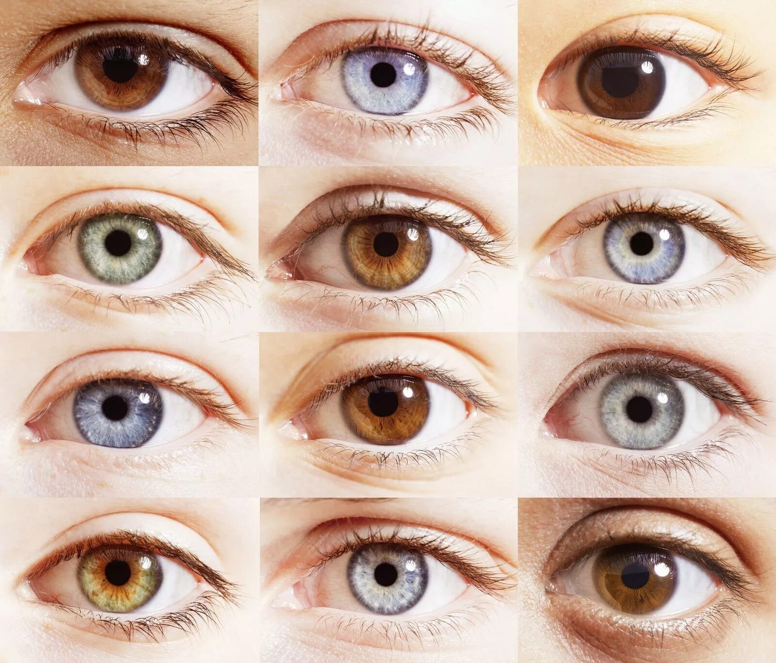 My eyes are blue