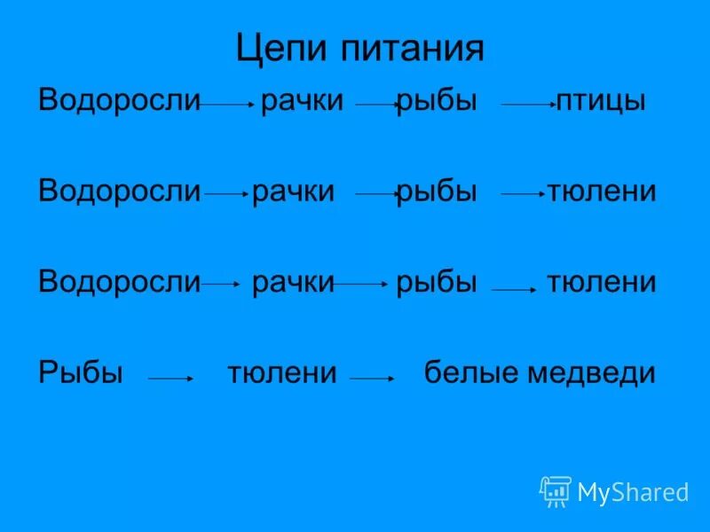 Составить цепи питания окружающий мир