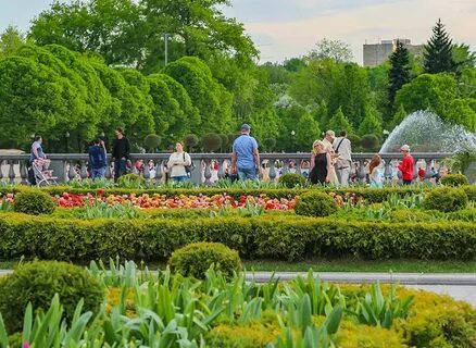 Парк культуры горького отзывы