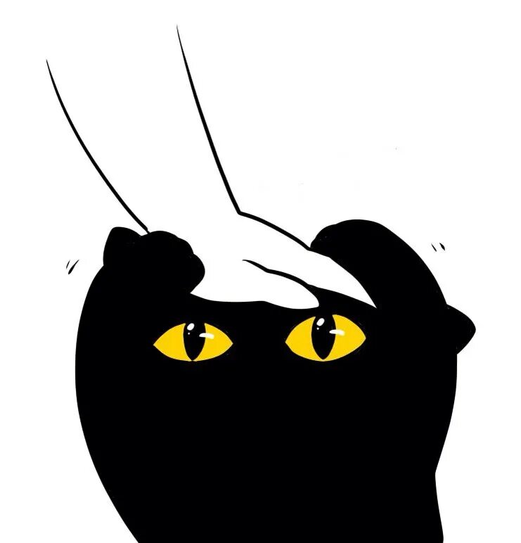Мем гладить. Коты мемы. кот мем. кота гладят мем. черный кот мем.