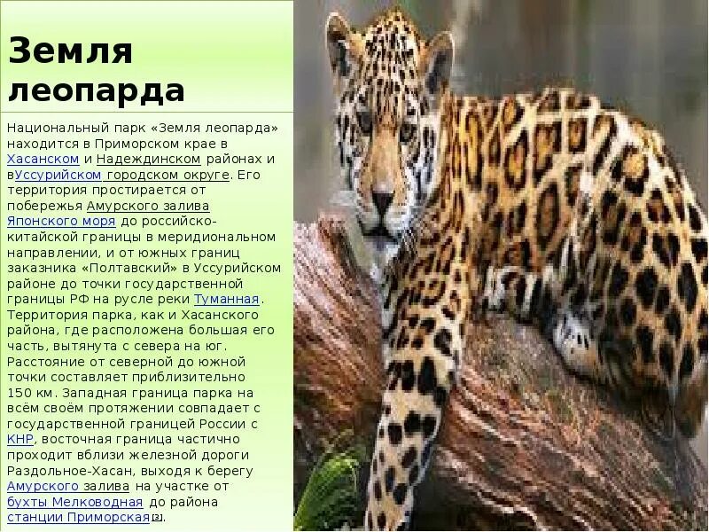 Заповедник земля леопарда. Табличка национального парка земля леопарда. Земля леопарда лого. Национальный парк земля леопарда приморский край на карте. Территория земли леопарда.