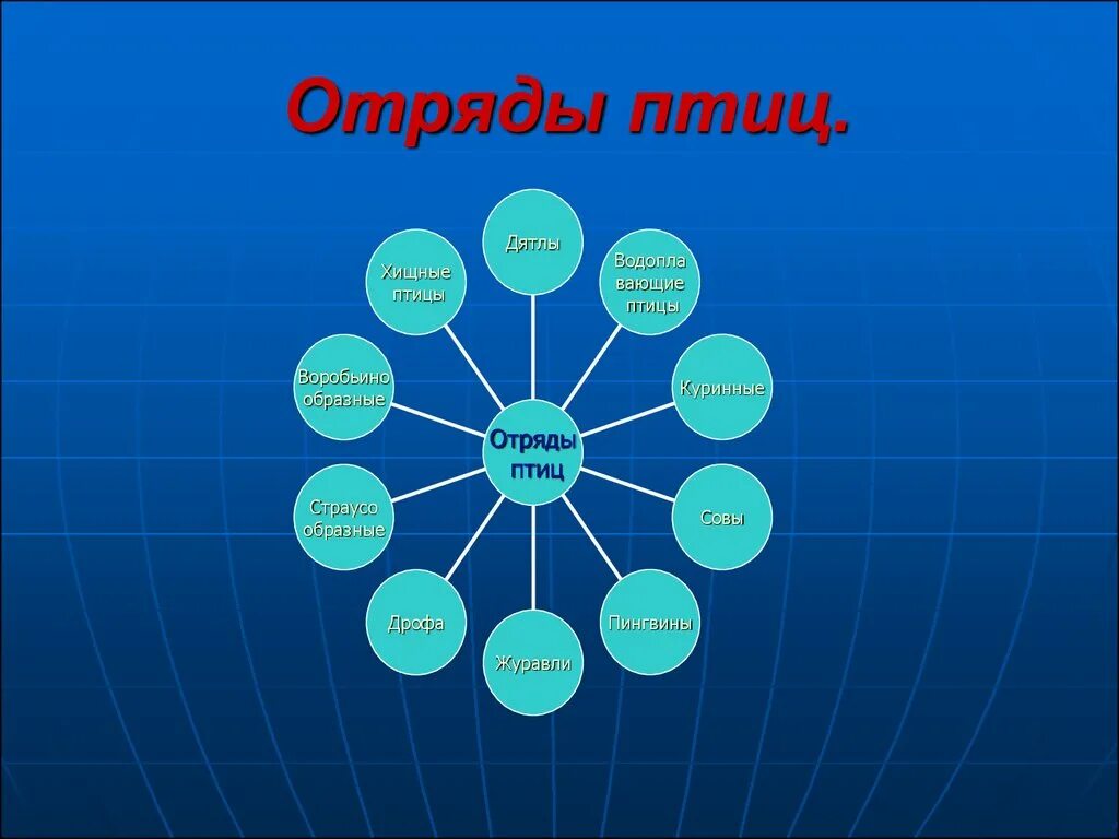 Отряды птиц кратко. Отряды птиц. Отряды птиц презентация. Класс птицы отряды. Отряды птиц схема.