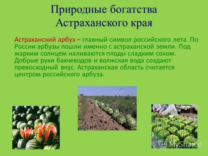 Экономика астраханского края проект. Экономика родного края астраханская область. Экономика родного края астраханская область. Отрасли экономики астрахань. Экономика родного края астраханская область.
