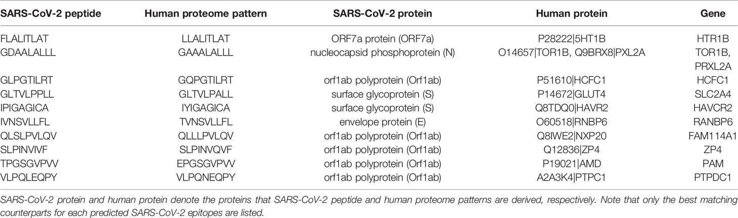 Антитела к RBD домену спайкового s белка Abbott. Антитела к спайковому s белку SARS-cov-2 что это. Норма антител к RBD домену спайкового белка SARS-cov-2 норма. Количество антител к RBD домену спайкового белка SARS-cov-2 IGG (количество.